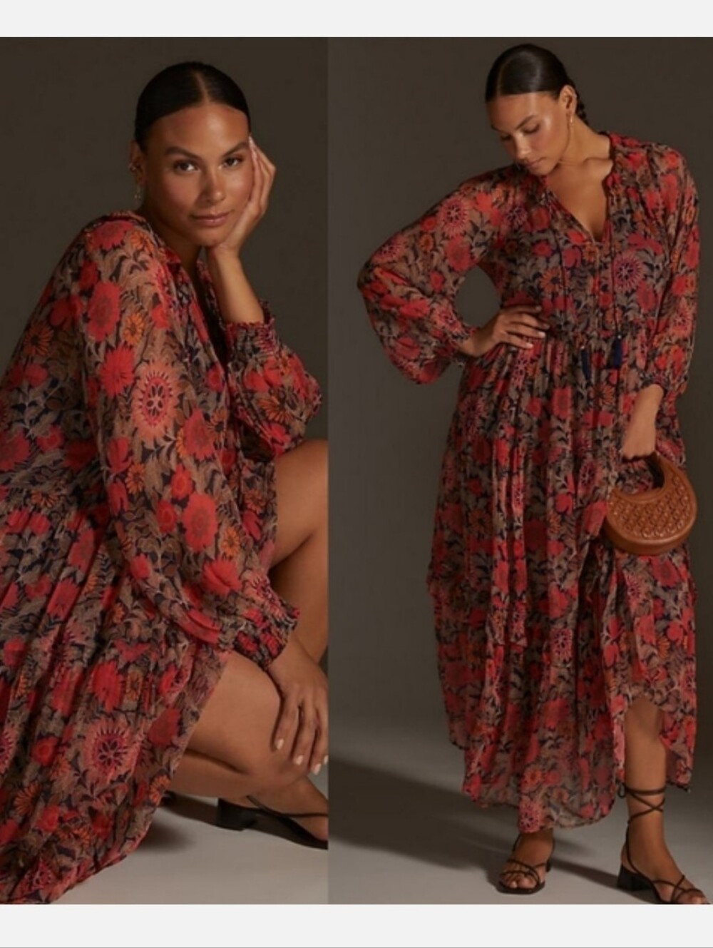 Anthropologie‎ Marais Printed Chiffon Maxi Dress